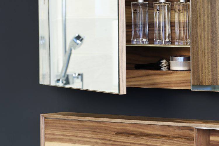 Bathroom Mirror Cabinets