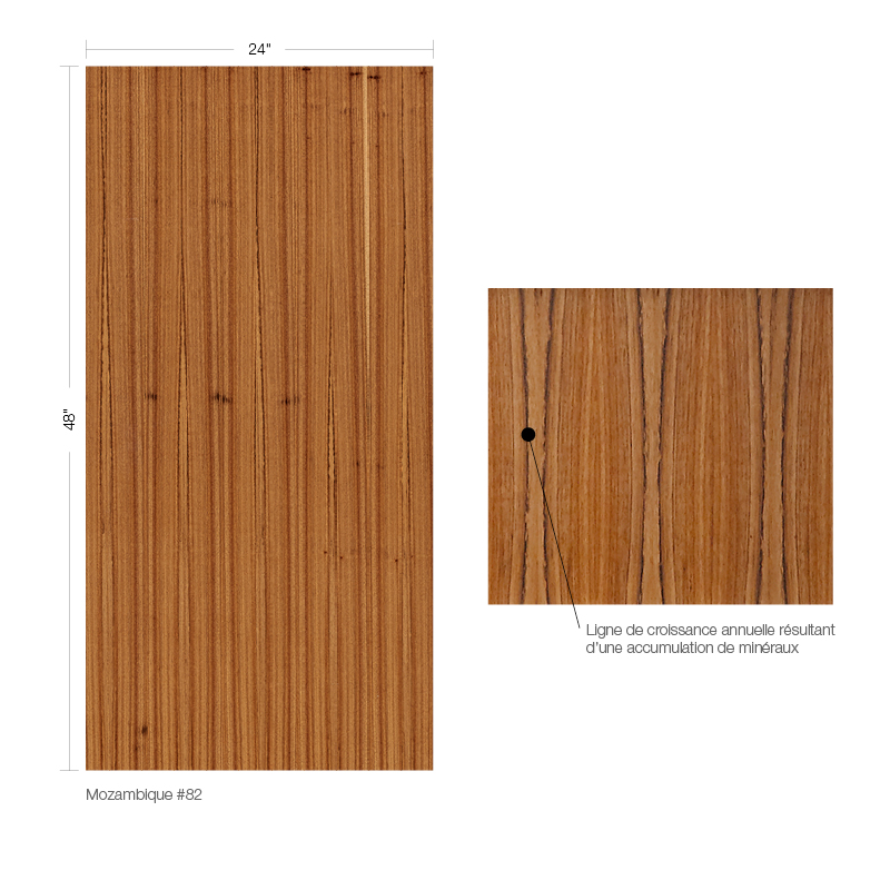 Mozambique grain variation